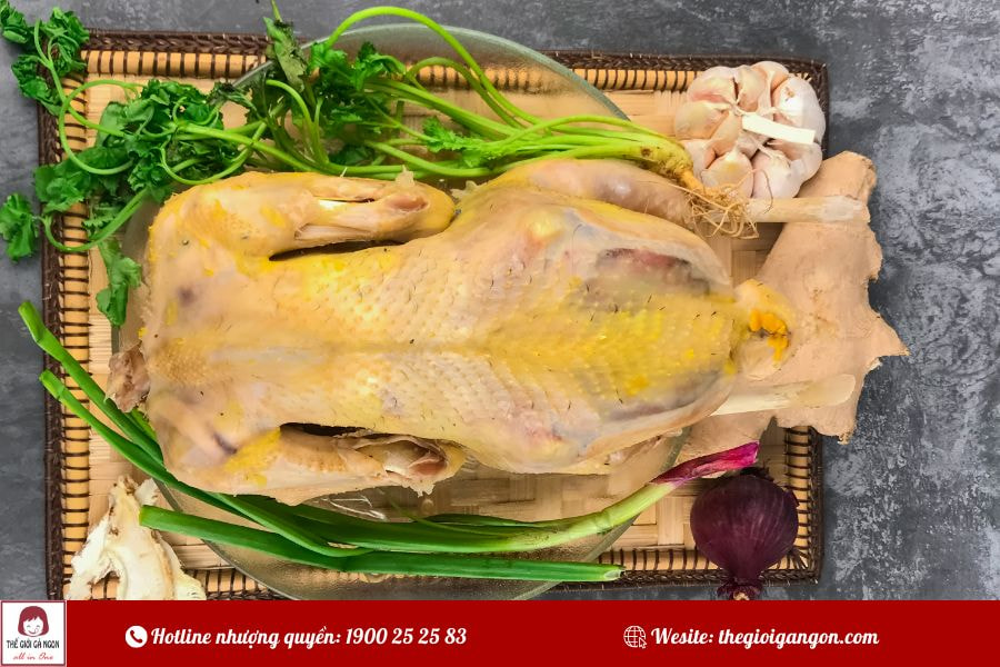 Gà luộc để tủ lạnh được bao lâu? Mẹo bảo quản không bị hỏng
