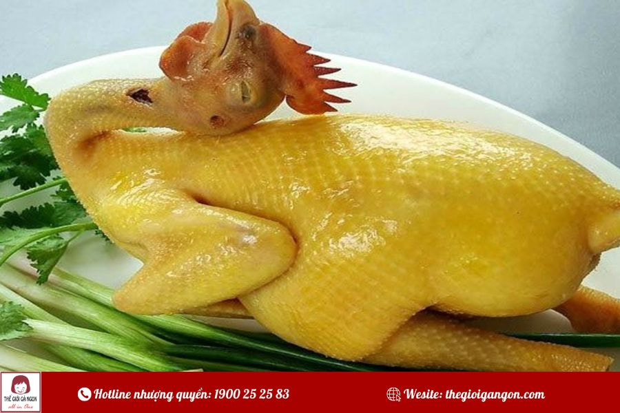 Hướng dẫn luộc gà: gà thơm ngon, da giòn không bị nứt
