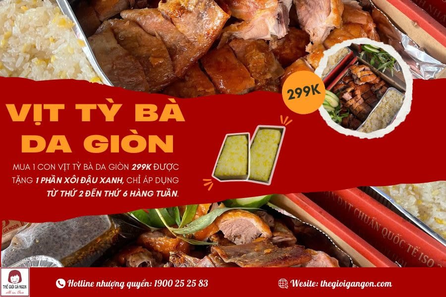 Bật mí quán vịt tỳ bà ngon giá rẻ mua nguyên con tặng xôi chỉ với 299K
