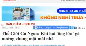 bao-long-an-viet-ve-the-gioi-ga-ngon